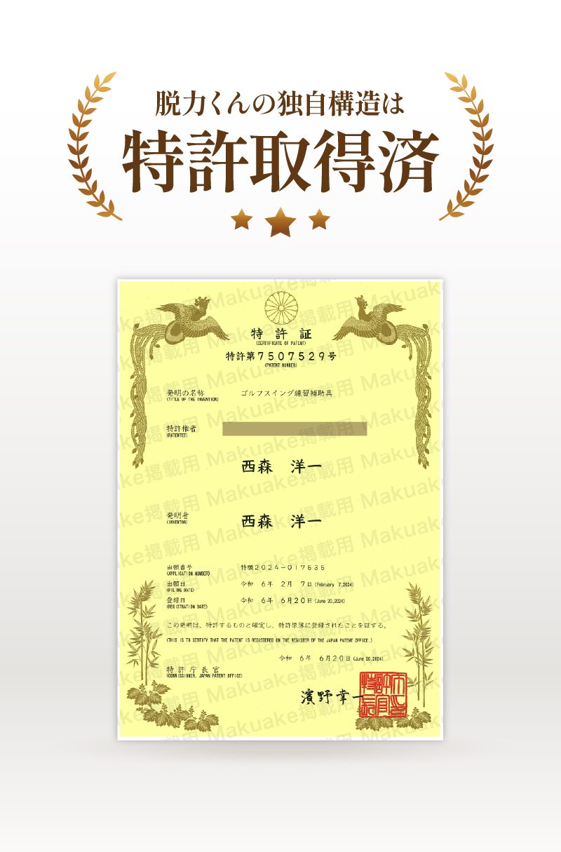 D-LP-10
